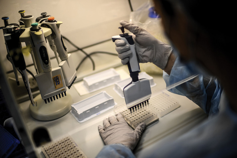 Covid-19: un premier cas du variant brésilien recensé aux Etats-Unis Covid-19: un premier cas du variant brésilien recensé aux Etats-Unis