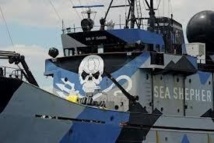 Sea Shepherd porte plainte aux Pays-Bas contre un baleinier japonais
