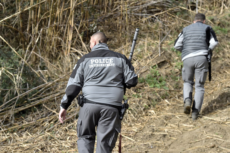 Des loups s'échappent d'un parc animalier: deux abattus, deux introuvables Des loups s'échappent d'un parc animalier: deux abattus, deux introuvables