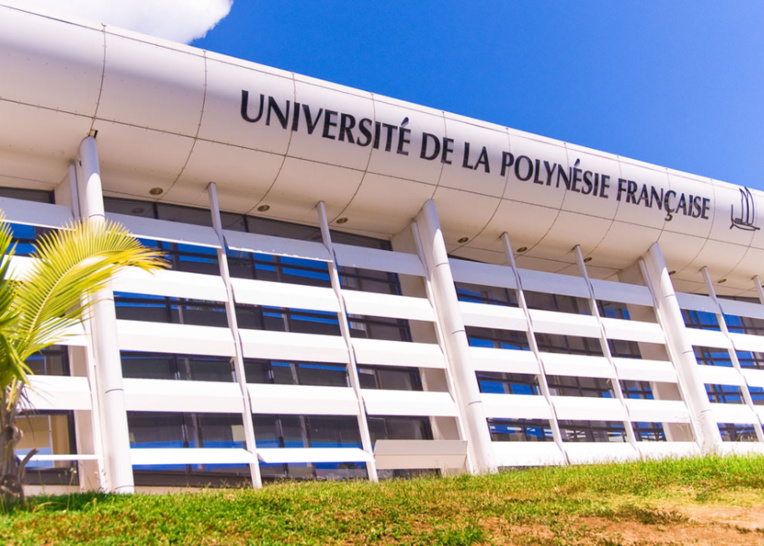 Appel au public pour une étude sur les violences familiales au fenua