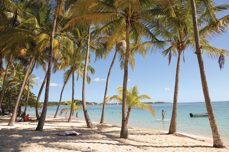Antilles: le secteur du tourisme sous le choc des mesures anti-Covid
