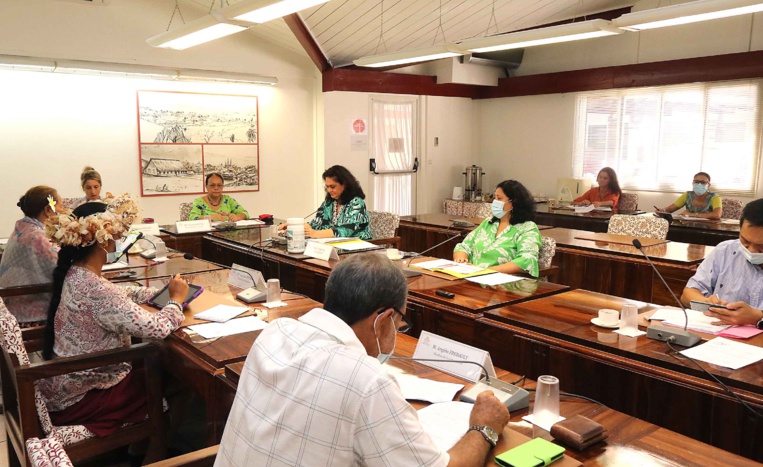 Nicole Bouteau présente le renforcement du plan de sauvegarde des emplois à l'APF Nicole Bouteau présente le renforcement du plan de sauvegarde des emplois à l'APF