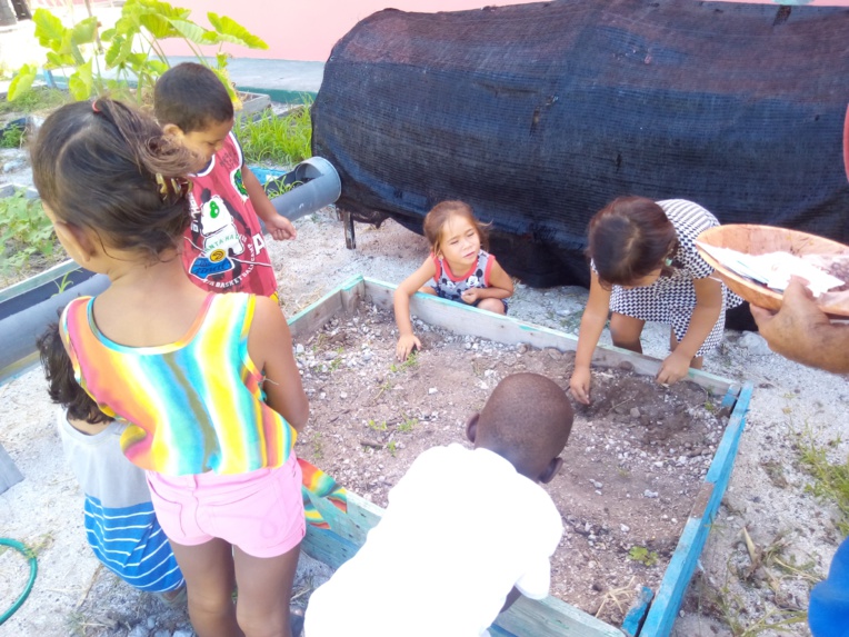 Découverte originale du langage à l'école maternelle de Hao Découverte originale du langage à l'école maternelle de Hao