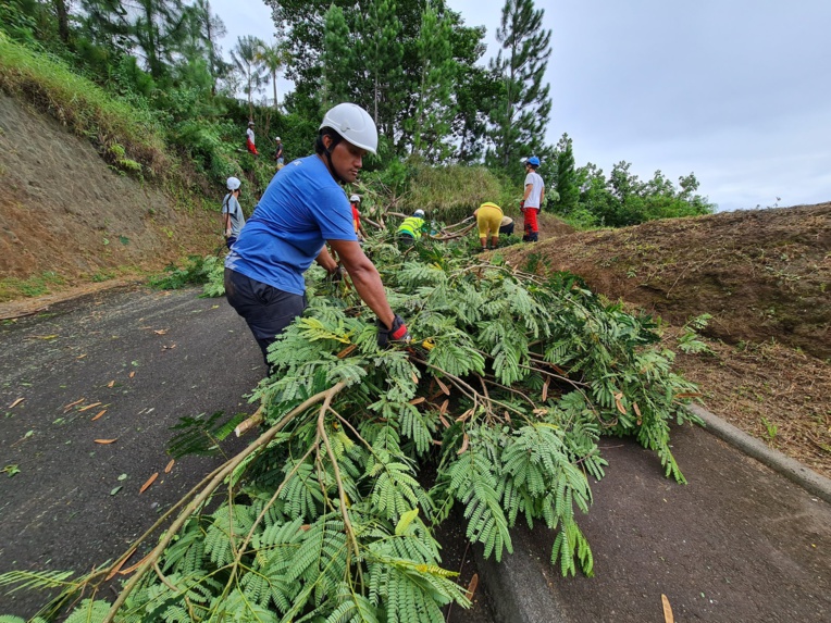 Onze demandeurs d’emploi formés au jardinage à Punaauia 