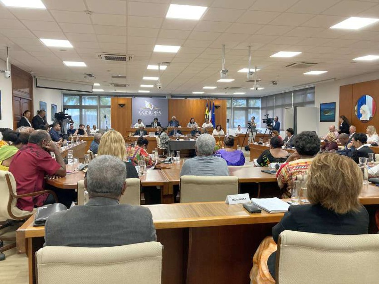 Nouvelle-Calédonie : L'Avenir en confiance décroche quatre élus, l'Eveil océanien sort du gouvernement Nouvelle-Calédonie : L'Avenir en confiance décroche quatre élus, l'Eveil océanien sort du gouvernement