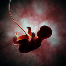 Enterrement du placenta: Le "pu fenua", lien entre l’homme et sa terre