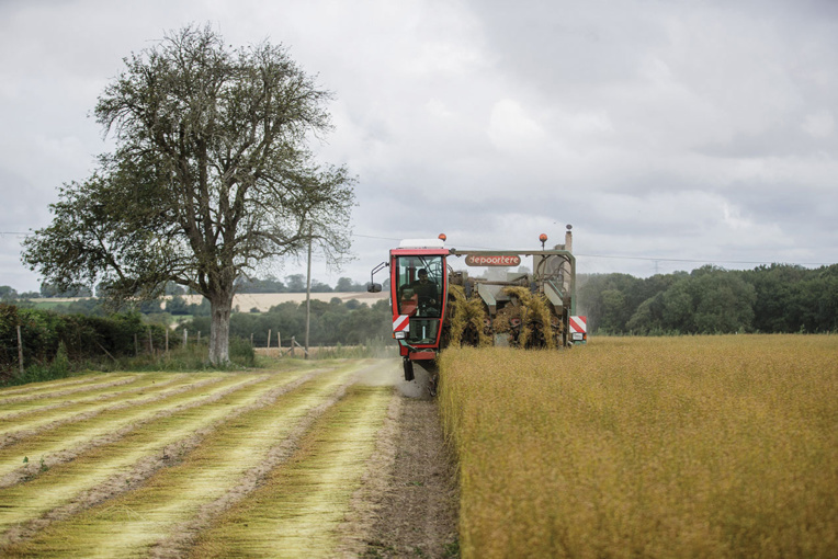 Pesticides: des tumeurs cérébrales d'agriculteurs peu à peu reconnues maladie professionnelle Pesticides: des tumeurs cérébrales d'agriculteurs peu à peu reconnues maladie professionnelle