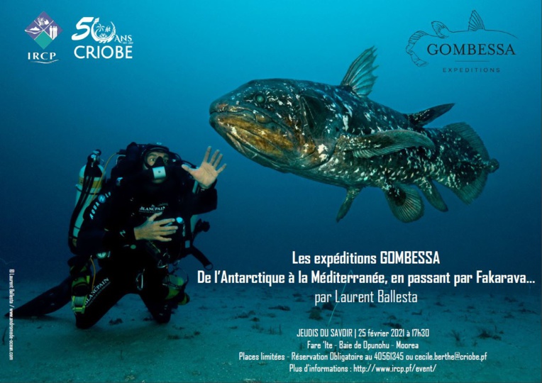 Retour des Jeudis du Savoir au Criobe à Moorea Retour des Jeudis du Savoir au Criobe à Moorea