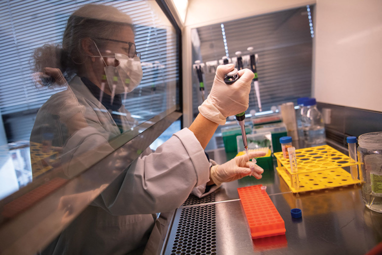 La biotech nantaise Xenothera mène un essai clinique pour un traitement contre le Covid La biotech nantaise Xenothera mène un essai clinique pour un traitement contre le Covid