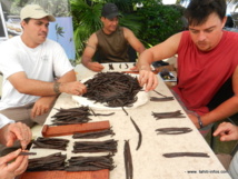 Apprentissage de la préparation de la vanille lors de la session de formation organisée en septembre dernier à Faa’a.