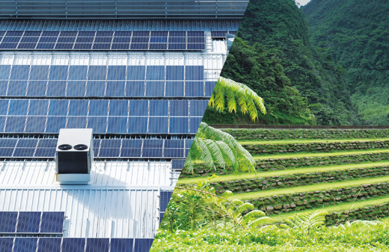 La part du renouvelable dans le mix énergétique toujours en repli en 2019 La part du renouvelable dans le mix énergétique toujours en repli en 2019