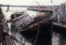 Photo datant du 14 août 1985 du navire de l'Organisation écologique Greenpeace, le Rainbow Warrior, coulé dans la baie de Auckland par les services secrets français, le 10 juillet 1985, alors qu'il se préparait à partir en campagne contre les essais nucléaires français dans le Pacifique. (AFP)