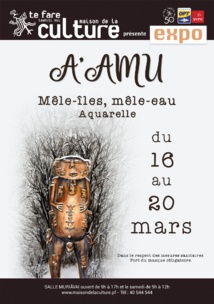 "Mêle-îles, Mêle-eau", la rétrospective de A’amu "Mêle-îles, Mêle-eau", la rétrospective de A’amu