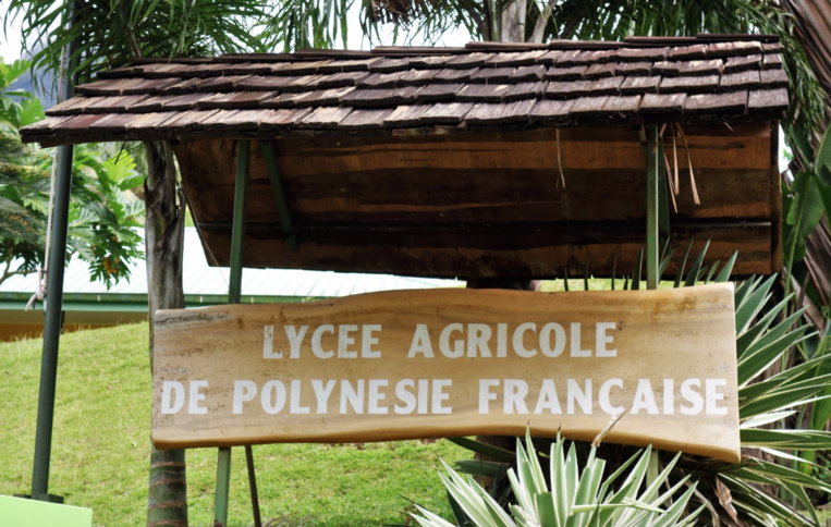Des journées portes ouvertes "virtuelles" au lycée de Opunohu Des journées portes ouvertes "virtuelles" au lycée de Opunohu