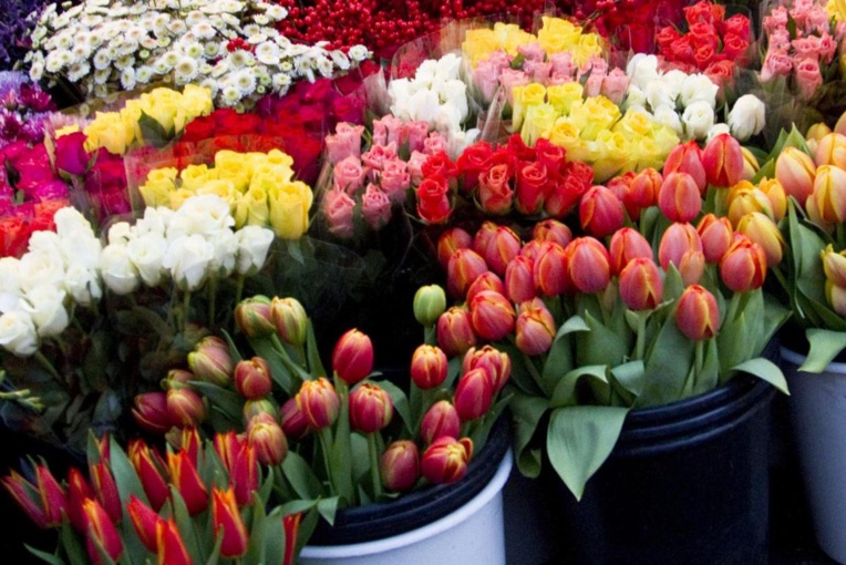 11 695 fleurs importées pour la fête des mères 11 695 fleurs importées pour la fête des mères