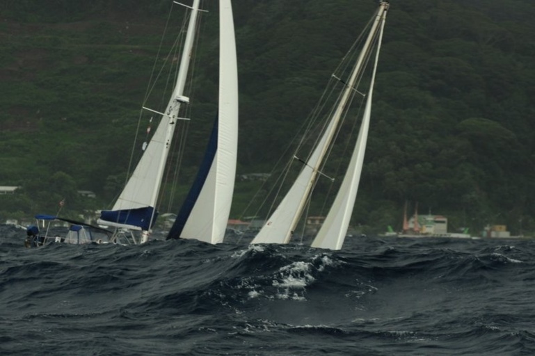 Crédit photos: Morgan Rogers