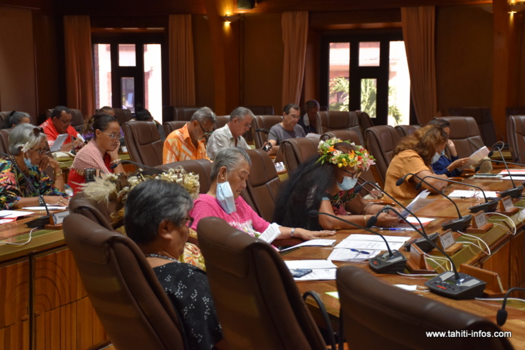 Le futur statut des collaborateurs de l'APF épluché au Cesec