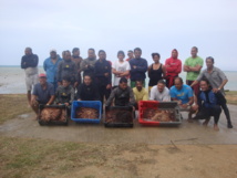 Nettoyage du lagon à Tubuai: Commune, pêcheurs et bénévoles unis contre le "Taramea"