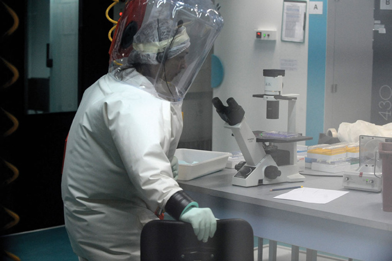 Covid: l'OMS à la recherche de l'animal intermédiaire, l'Angleterre se déconfine Covid: l'OMS à la recherche de l'animal intermédiaire, l'Angleterre se déconfine