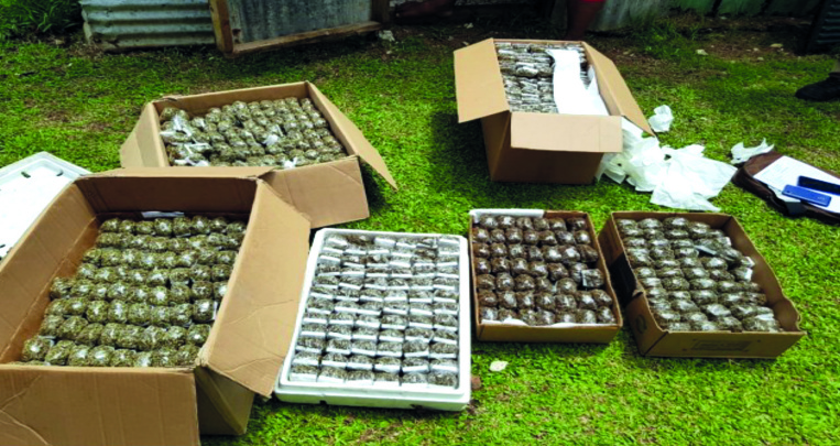 Saisie de 40 kg de cannabis et 9,5 millions en espèces Saisie de 40 kg de cannabis et 9,5 millions en espèces