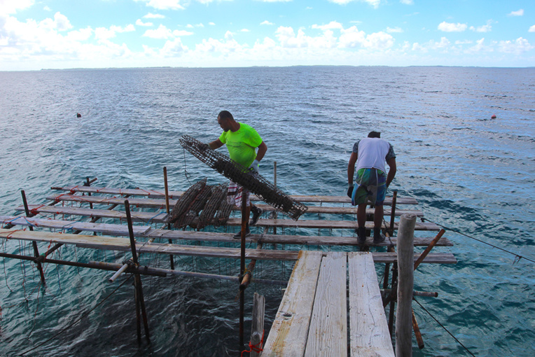 (Photo : Daniel Pardon). (Photo : Daniel Pardon).