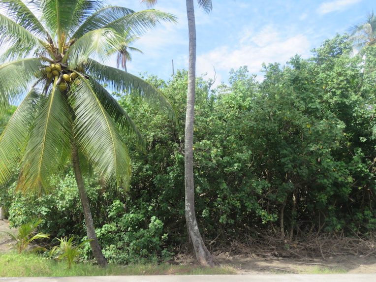 Vers une modification du PGA à Moorea pour le développement économique Vers une modification du PGA à Moorea pour le développement économique