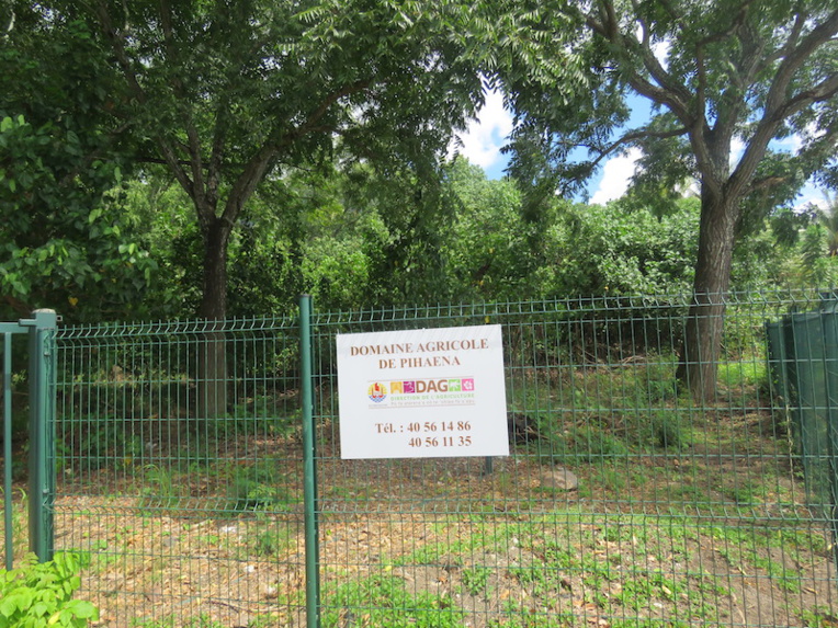 La DAG au soutien de la reconversion professionnelle à Moorea