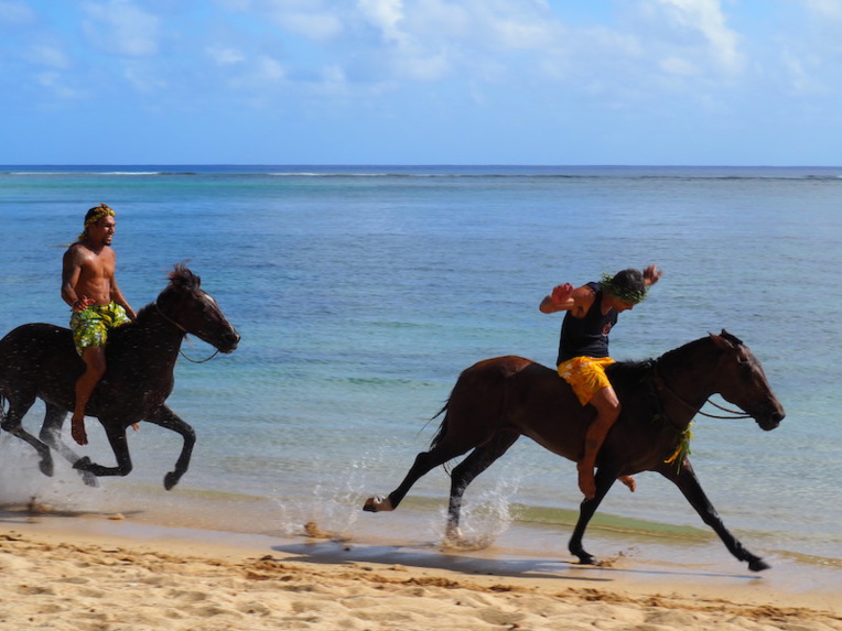 Rea, grand vainqueur des courses équestres de Avera