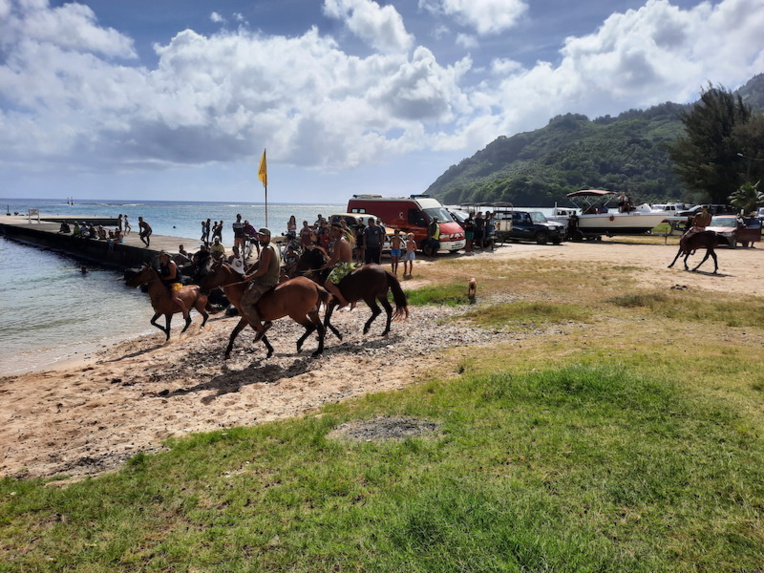Rea, grand vainqueur des courses équestres de Avera Rea, grand vainqueur des courses équestres de Avera