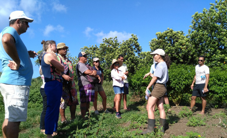Première réunion du réseau de fermes en agroécologie Première réunion du réseau de fermes en agroécologie