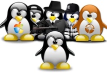 LoLiTa organise une Install'party à la Maison de la Culture