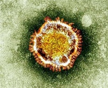 Nouveau coronavirus : état toujours stationnaire et sérieux pour les deux malades français