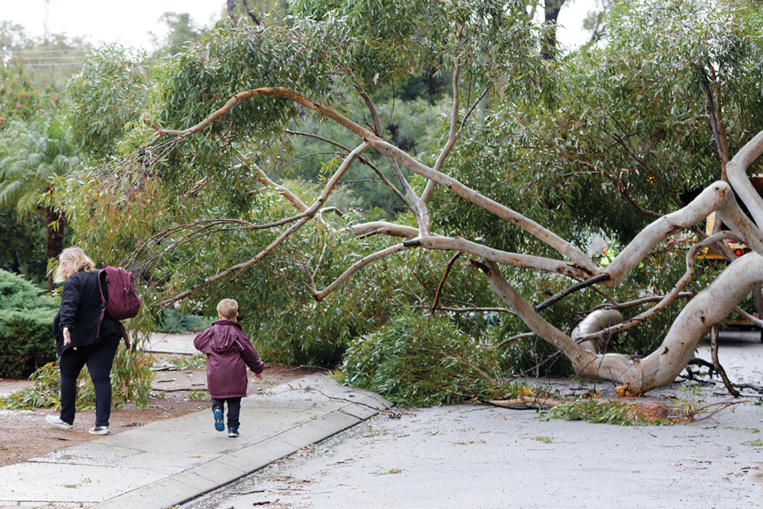 L'ouest de l'Australie balayé par le cyclone Seroja L'ouest de l'Australie balayé par le cyclone Seroja