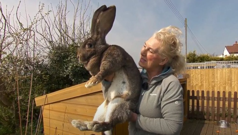 Capture écran Youtube Capture écran Youtube