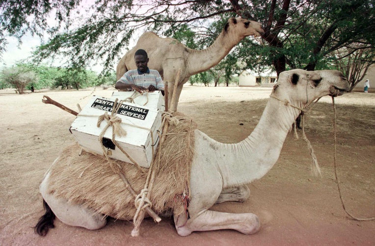 Le prochain Covid ? Les dromadaires du Kenya sous haute surveillance