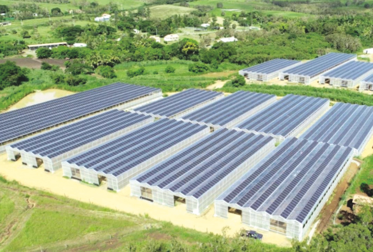 Exemple de projet de ferme agrisolaire en Nouvelle-Calédonie Exemple de projet de ferme agrisolaire en Nouvelle-Calédonie