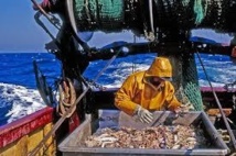 Réforme de la pêche: l'UE veut restaurer les stocks de poissons