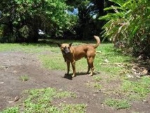 image d'illustration