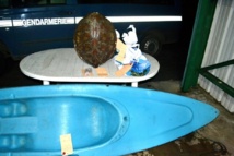 Une tortue marine dépecée à Teahupoo