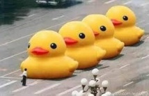 Les mots "gros canard jaune" censurés en Chine