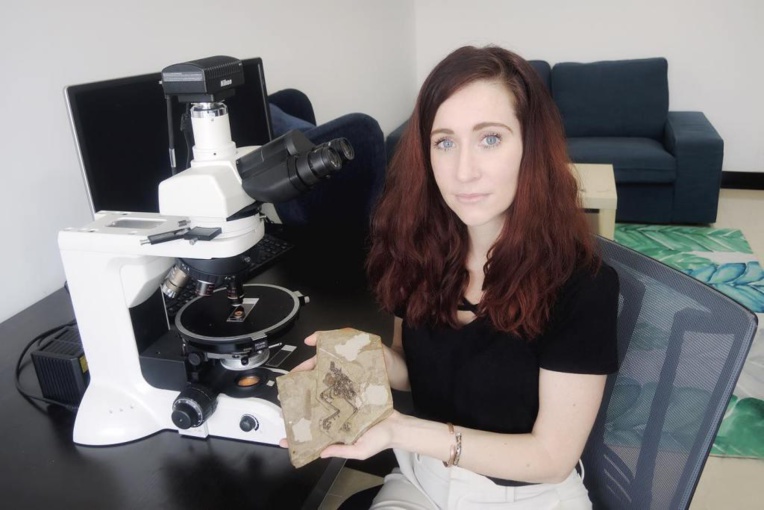 Alida Bailleul, la passion du vivant Alida Bailleul, la passion du vivant