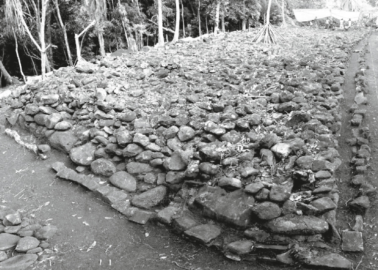 Pererau, un tahua renaît de ses ruines après 10 ans de restauration