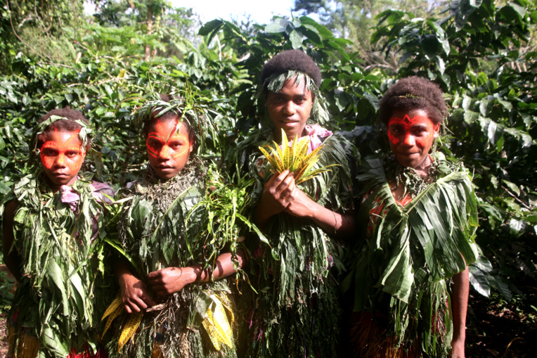 Ces jeunes guides font découvrir aux visiteurs leur plantation de caféiers. Ces jeunes guides font découvrir aux visiteurs leur plantation de caféiers.