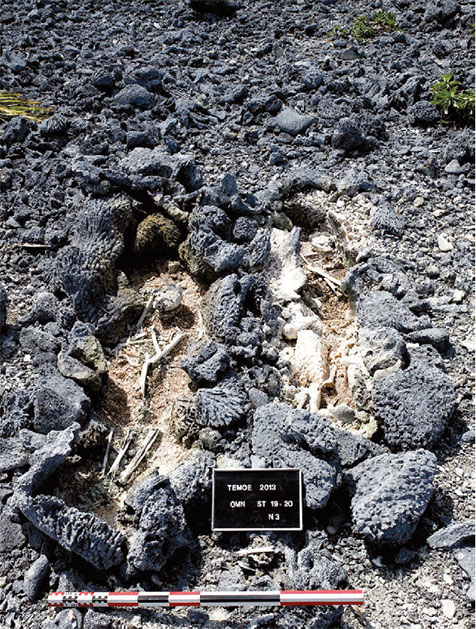 Ces deux sépultures primaires individuelles ont été mises en place selon un schéma similaire : le sol corallien a d’abord été légèrement creusé, et les cadavres ont été déposés avant de construire les parois et la couverture des coffrages.
