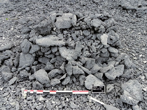 Des ossements de petites tailles, correspondant à des restes de fœtus, ont été retrouvés dans cette sépulture.
