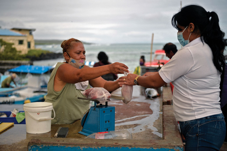 Les femmes des Galapagos, force invisible des champs et de l'océan Les femmes des Galapagos, force invisible des champs et de l'océan