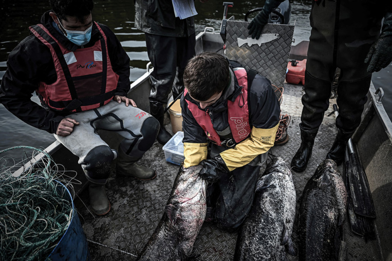 Brexit: la tension monte entre Paris et Londres sur le sort des pêcheurs français à Jersey Brexit: la tension monte entre Paris et Londres sur le sort des pêcheurs français à Jersey