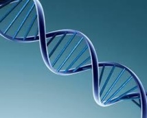 L'ADN humain naturel ne peut pas être breveté