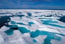 Le réchauffement des océans responsable de la fonte des glaces antarctiques