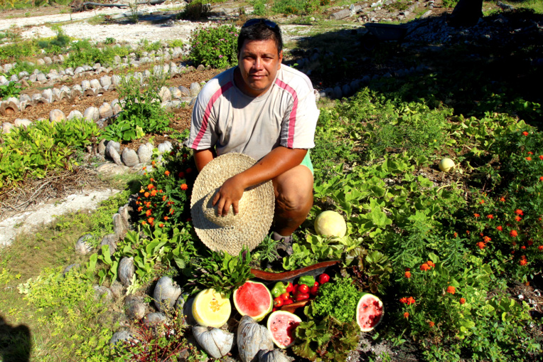 Tehei Asine a non seulement les mains vertes, mais également des diplômes ; il est aujourd’hui un maraîcher apprécié de ses clients. Il se lance actuellement dans l’agroforesterie.